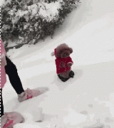 當南方狗到了北方后...笑瘋了！