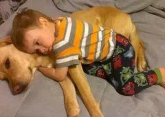 養狗千日，用在一時。。。。。